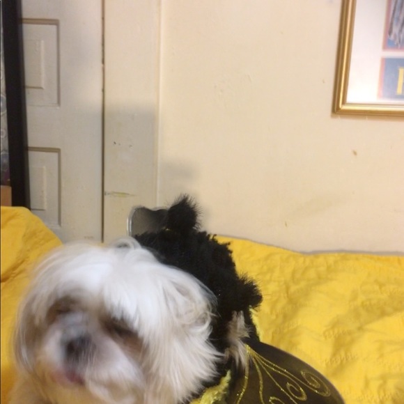 Meet your Posher, Katherine - Picture 1 of 1